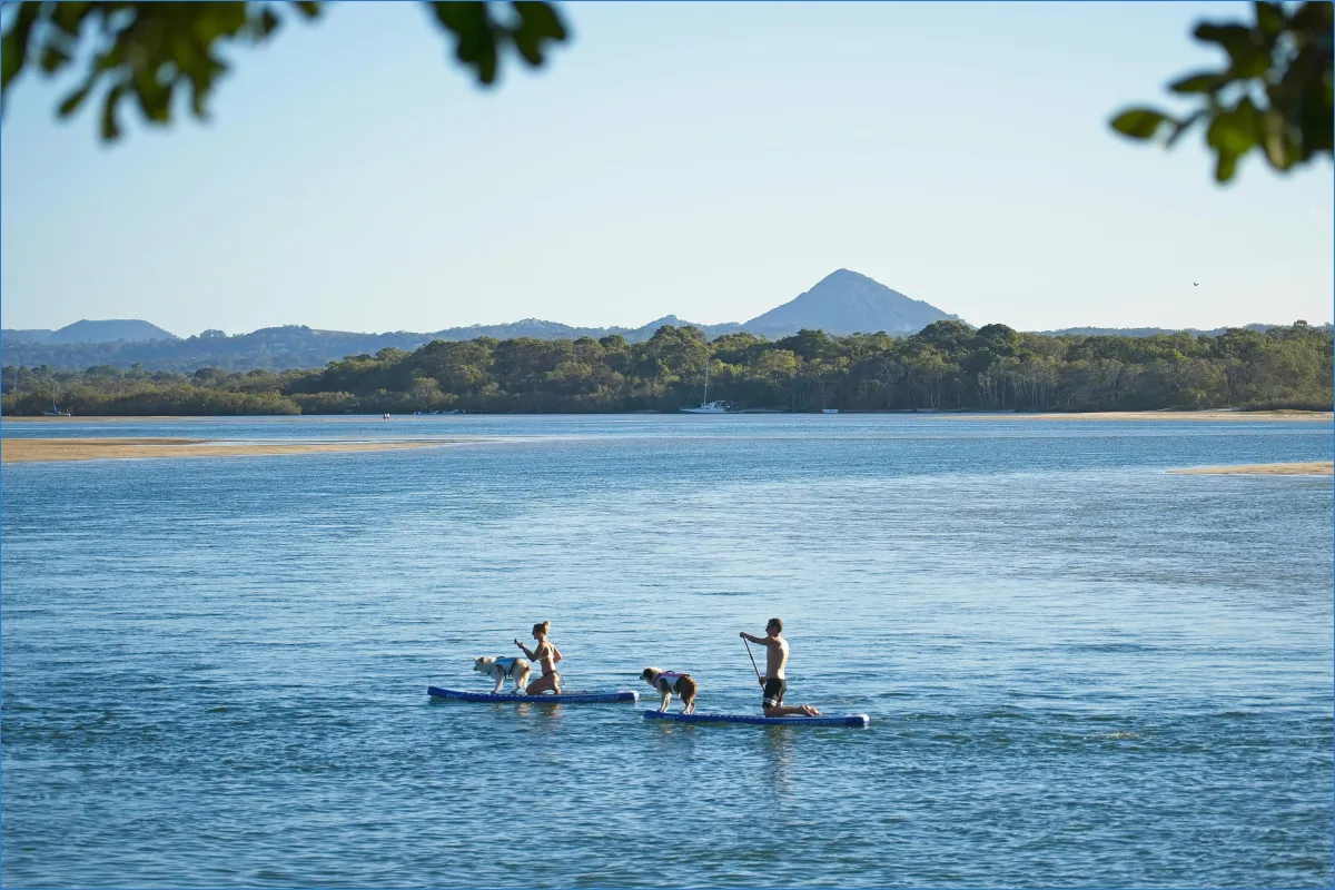 Kajak oder SUP Tour auf dem Wasser durch Saarbrücken