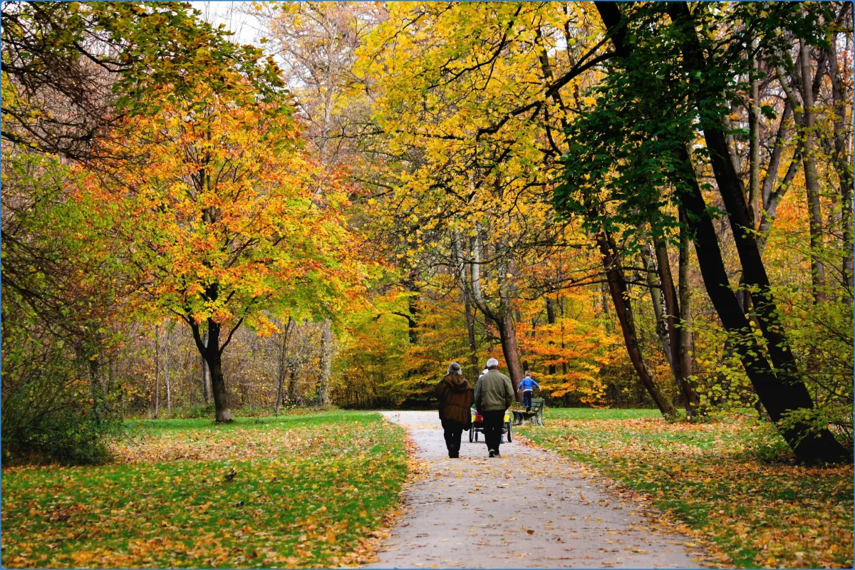 Englischer Garten (München)