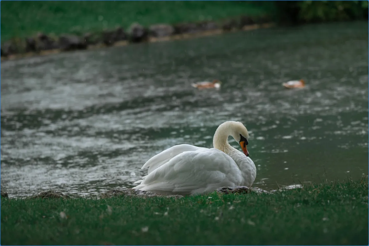 Englischer Garten (München)