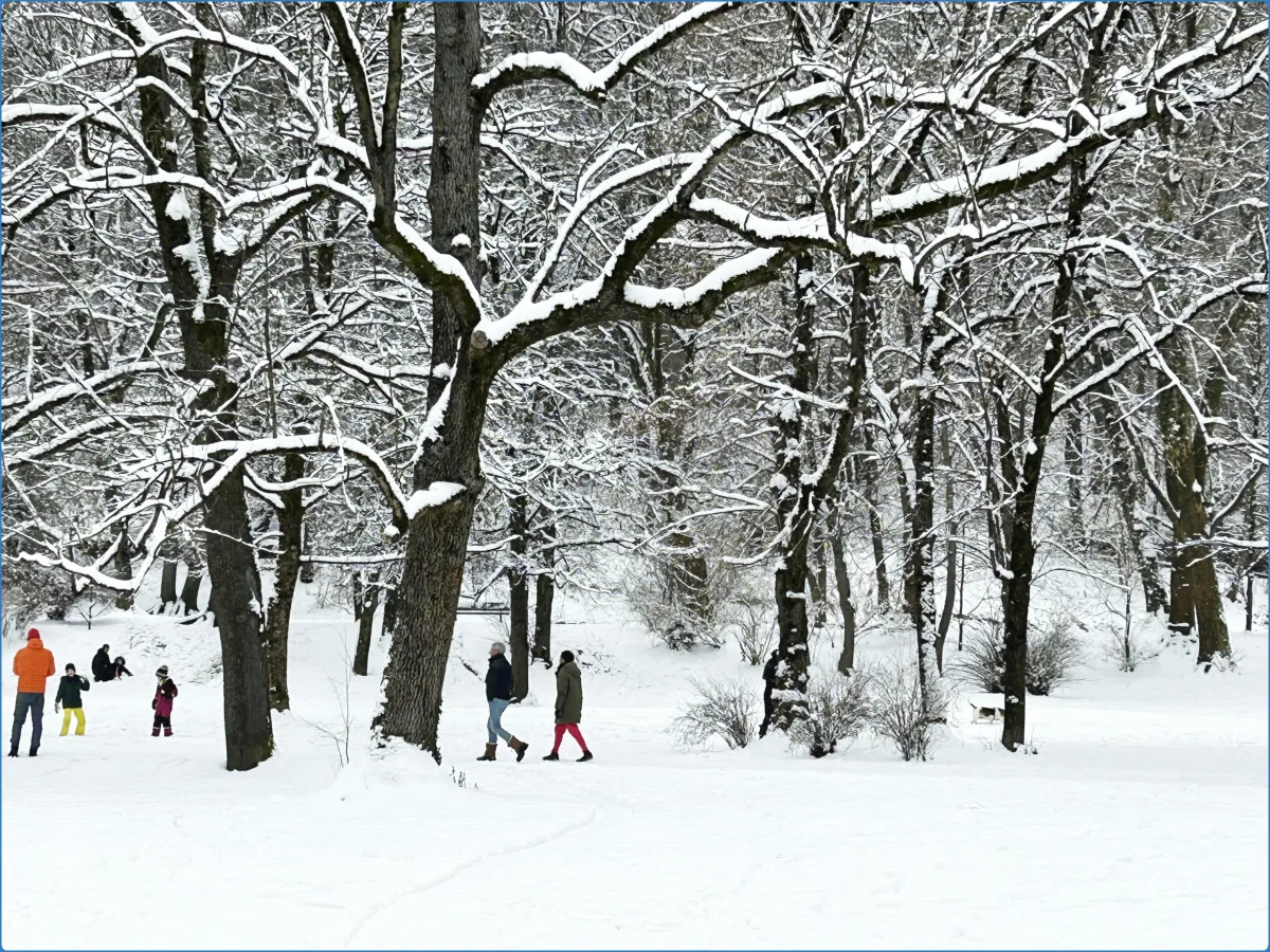 Englischer Garten (München)